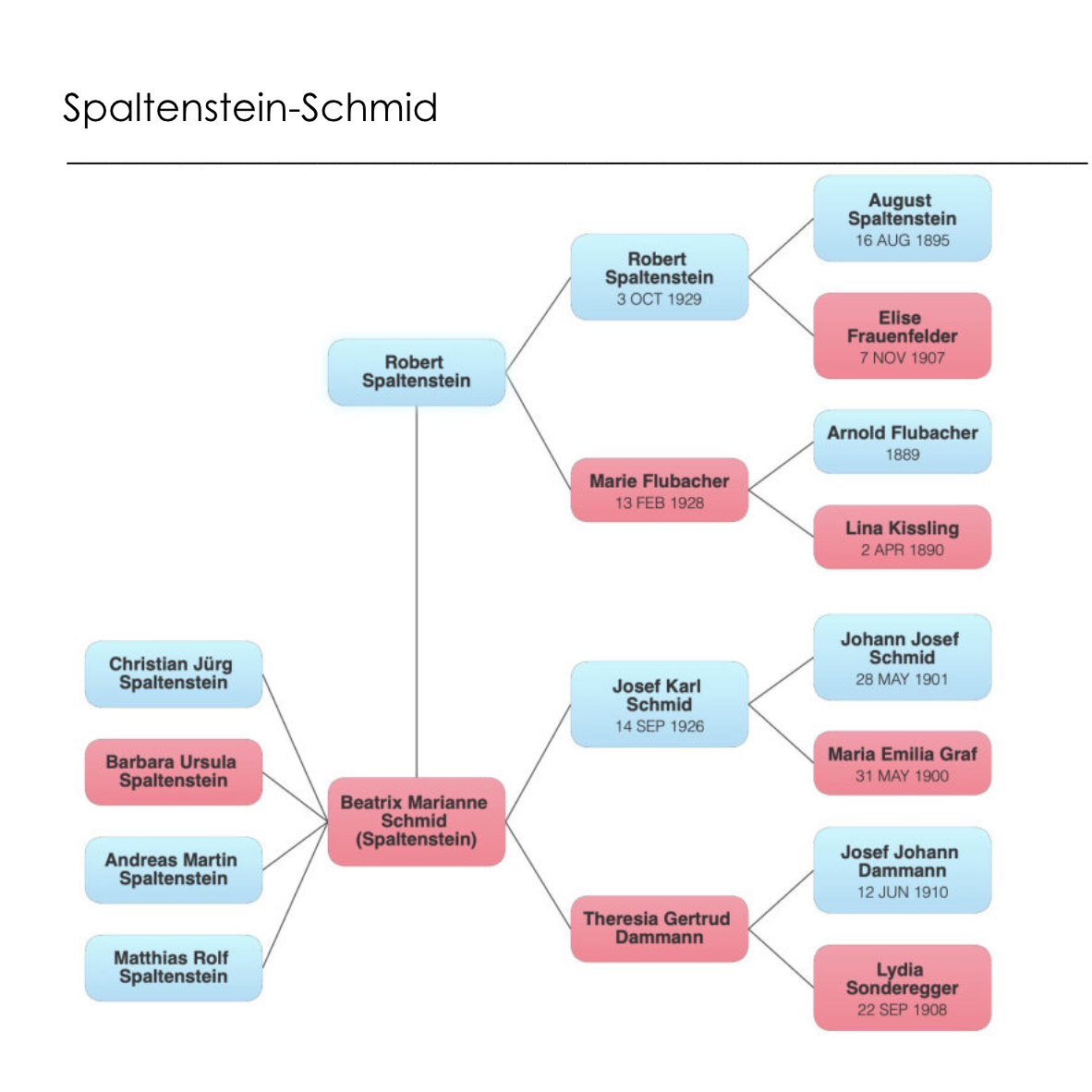 Spaltenstein-Schmid