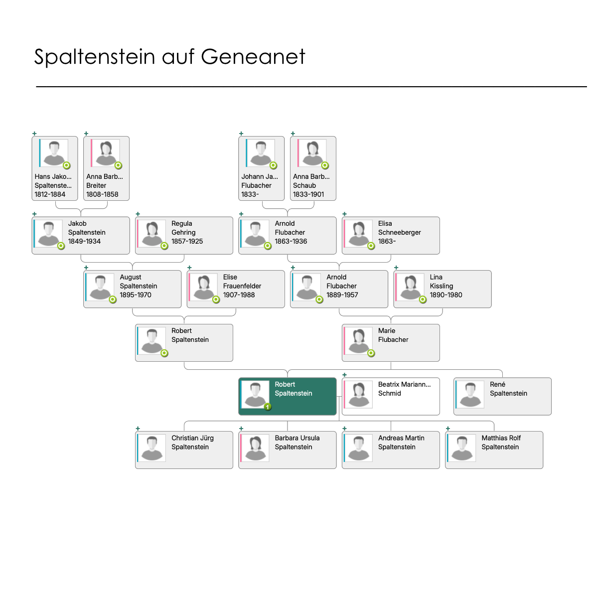 Spaltenstein Geneanet